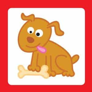 Contrassegni carta adesiva - Gli animali