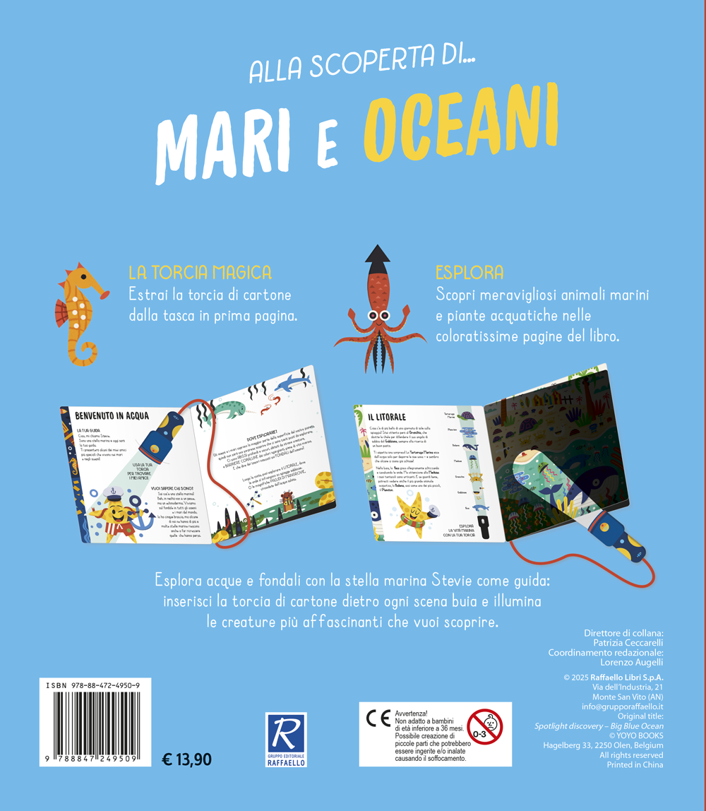 Mari e oceani - immagine 2
